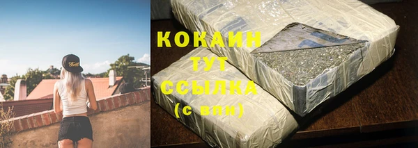 спиды Богородицк