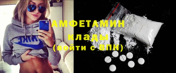 спиды Богородицк