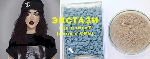 спиды Богородицк