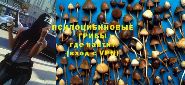 соль курить ск Богородск