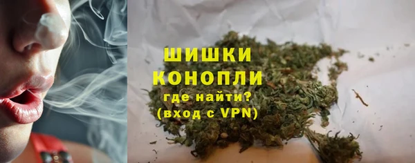 спиды Богородицк