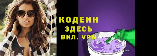 спиды Богородицк