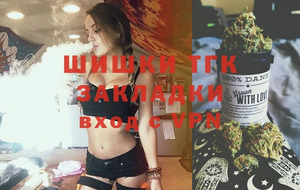 спиды Богородицк