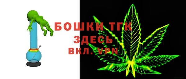 спиды Богородицк
