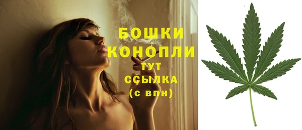 соль курить ск Богородск