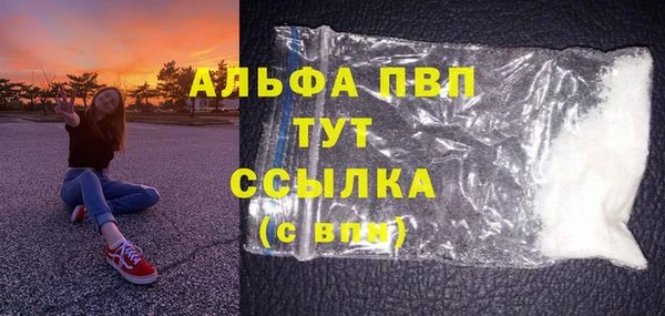 спиды Богородицк