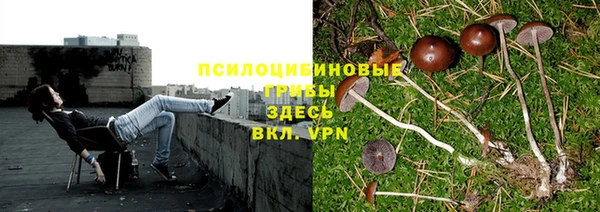 кокаин перу Богданович
