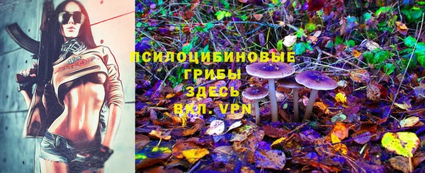 спиды Богородицк