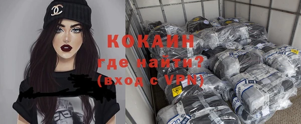 спиды Богородицк